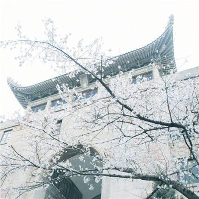 河北省教育考试院提醒：符合条件的考生不要错过三个专项计划
